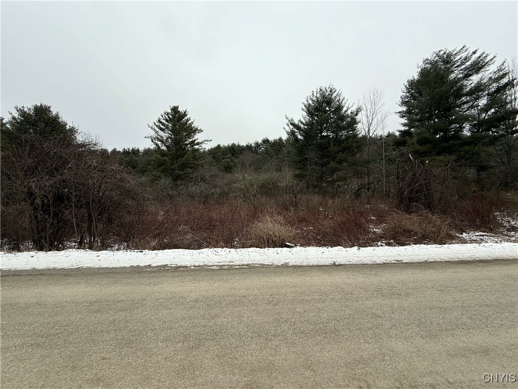 Property Photo:  170 Fisher Settlement Road  NY 14883 