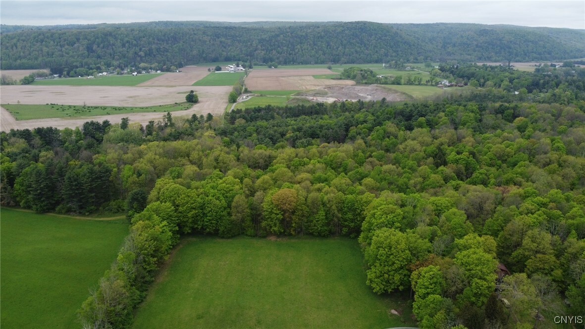 170 Fisher Settlement Road  Spencer NY 14883 photo