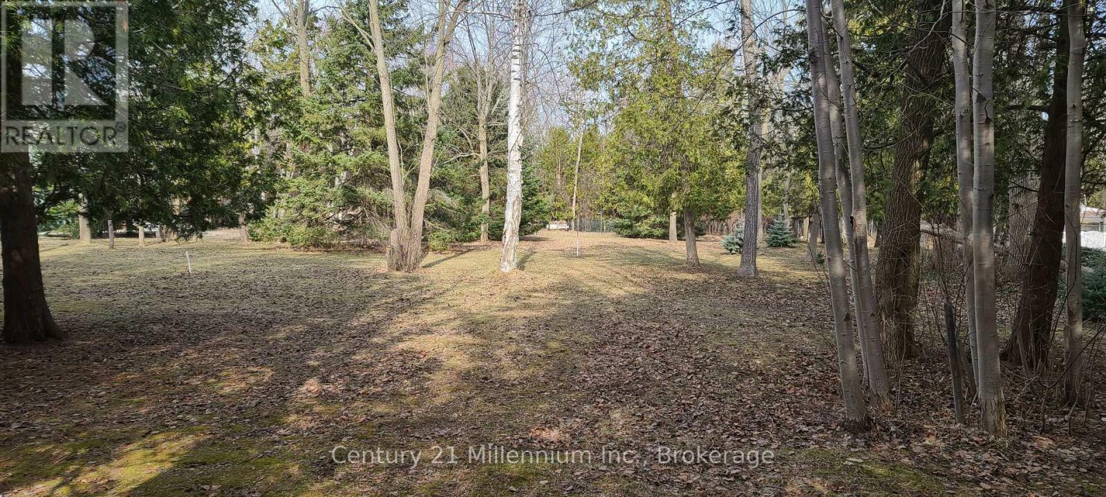 60 Robert Street South  Wasaga Beach ON L9Z 2Y2 photo