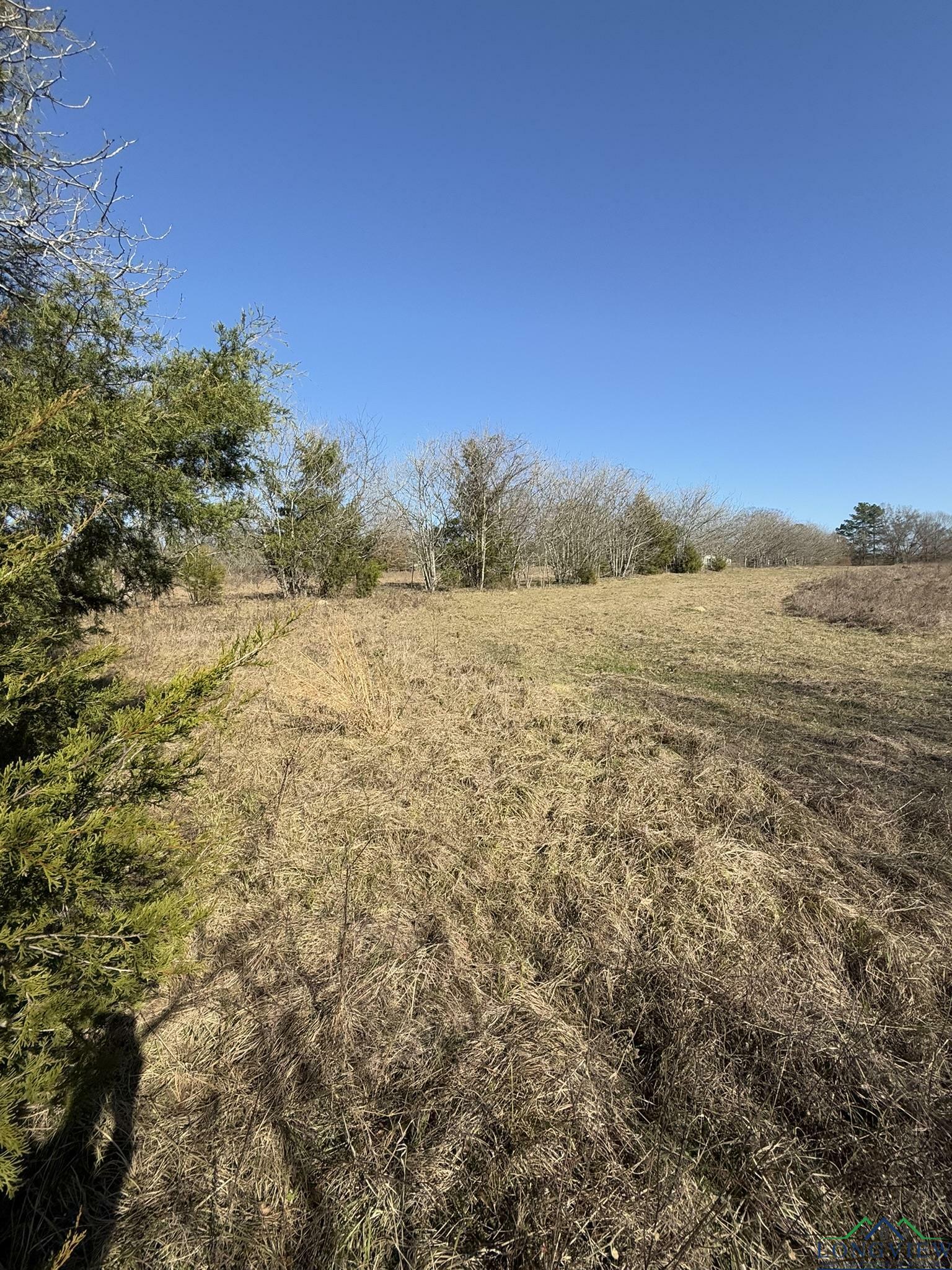 Property Photo:  Tbd Peach Rd.  TX 75644 