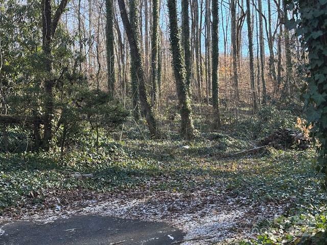 Property Photo: 0 Savannah Drive NC 28779