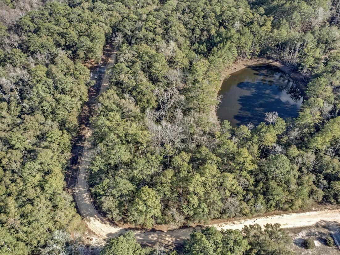 Property Photo:  Lot 25 Blue Creek Road  FL 32455 