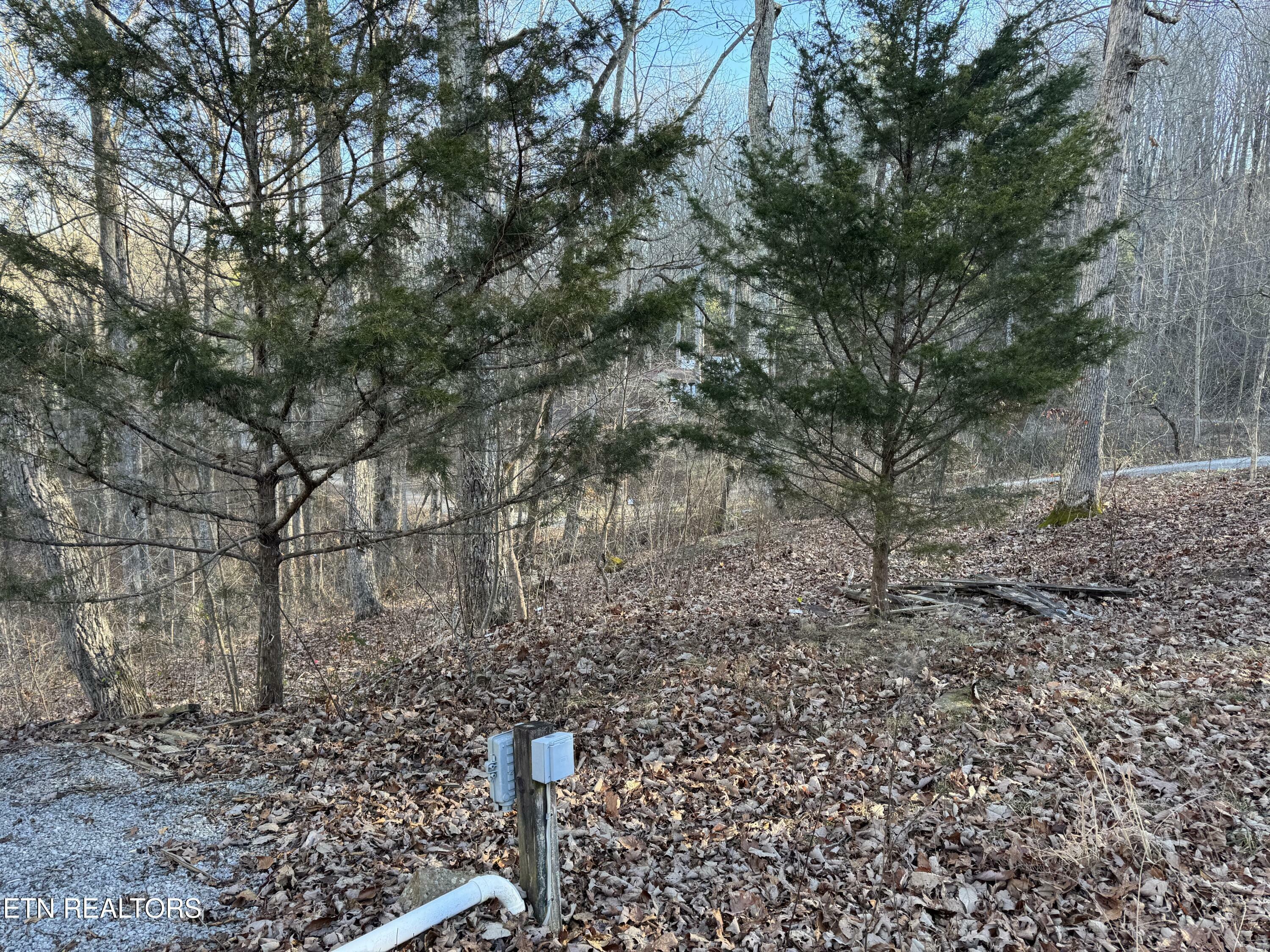 Property Photo:  O Hickory Hollow Rd  TN 38572 