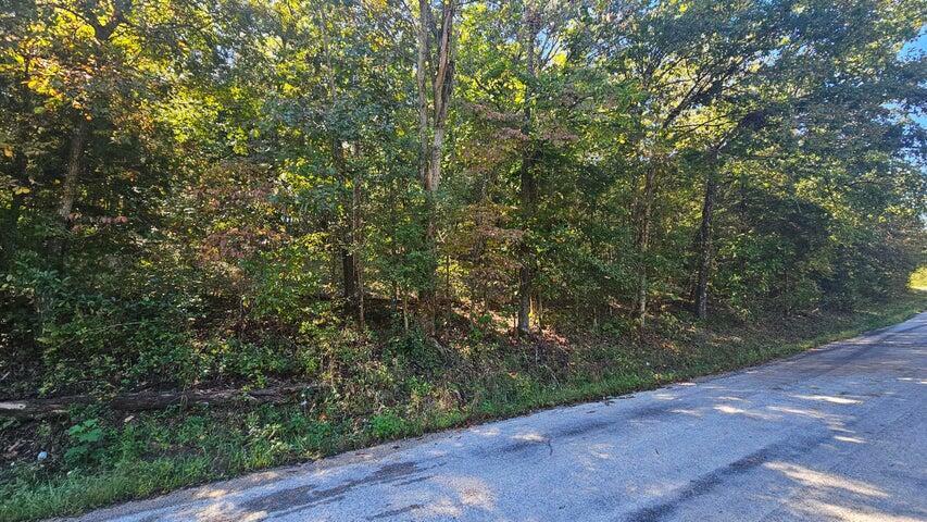 Property Photo: 000 Eastwood Hills Block 6 Lot 2 MO 65761