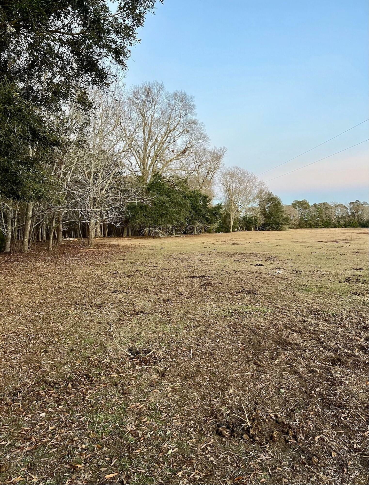 Property Photo: 177 Gwendolyn Drive SC 29047