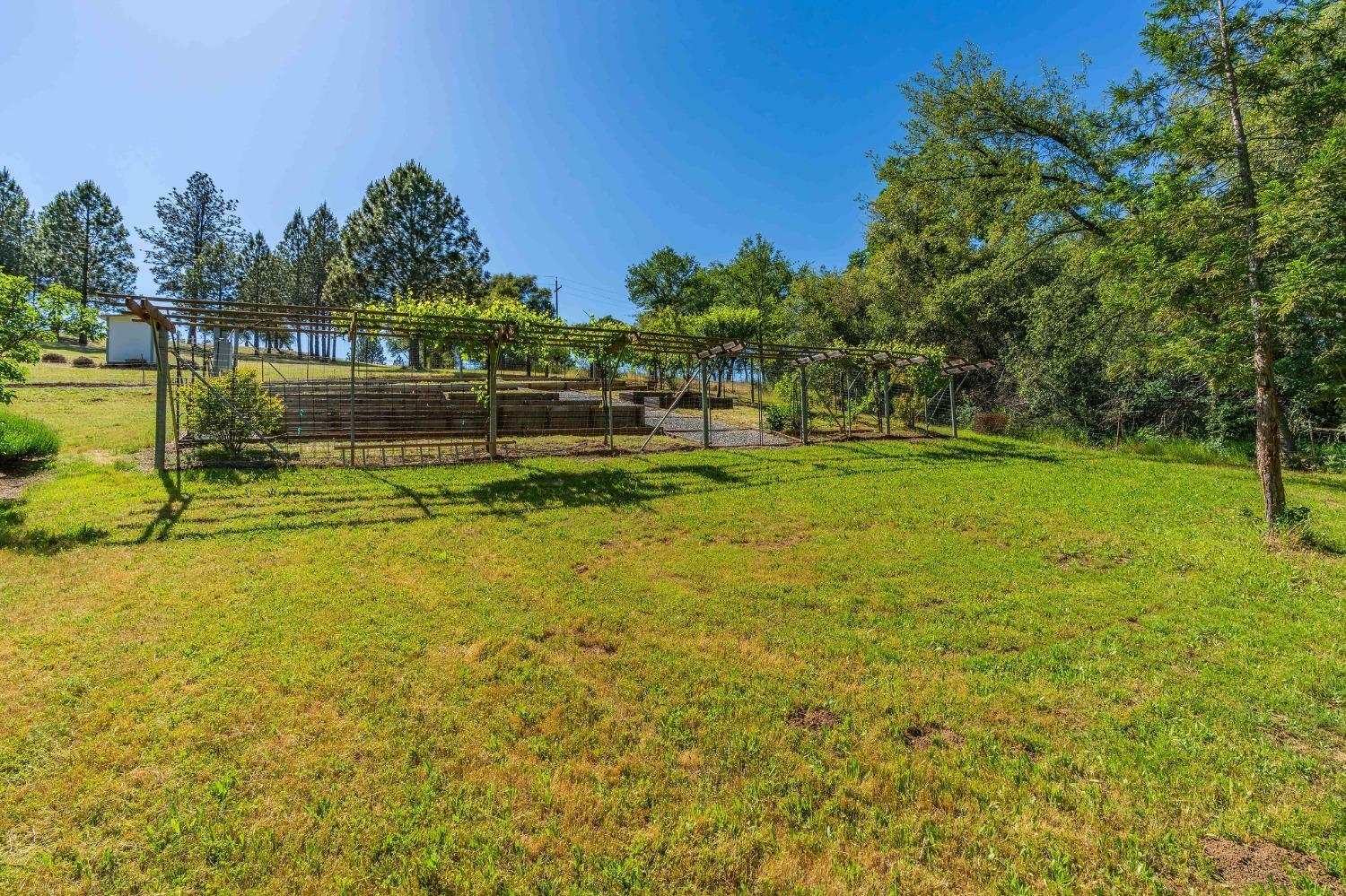 Property Photo: 6650 Starlight Lane CA 95246