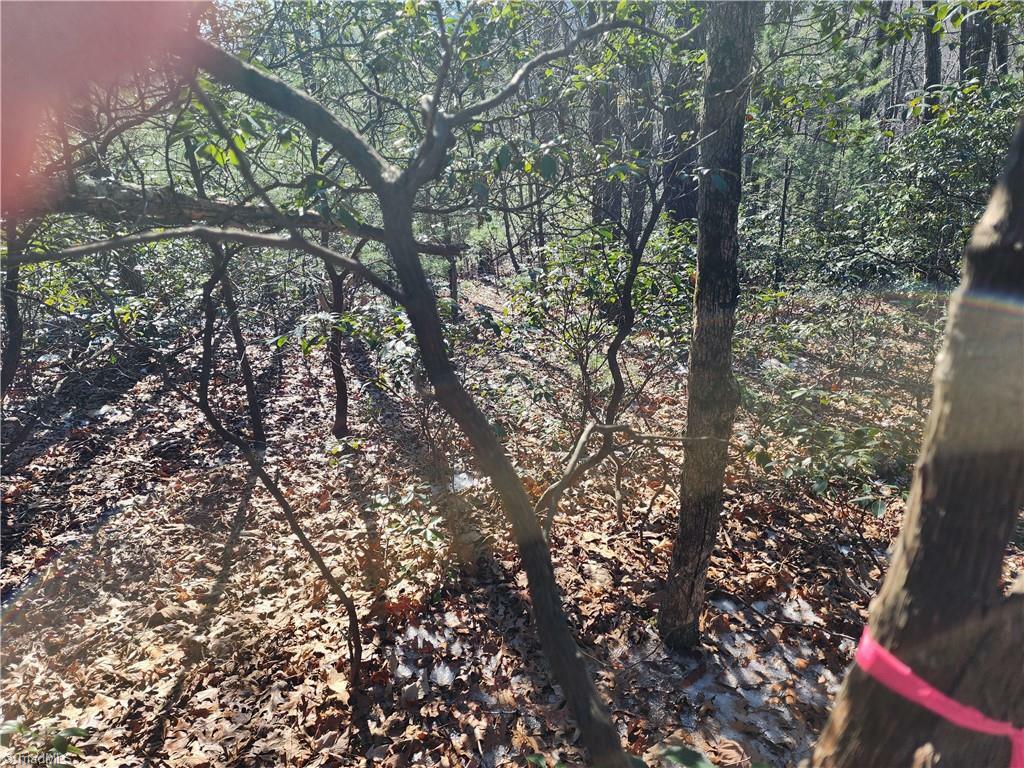 Property Photo: 000 Mountain Vista Drive NC 28649