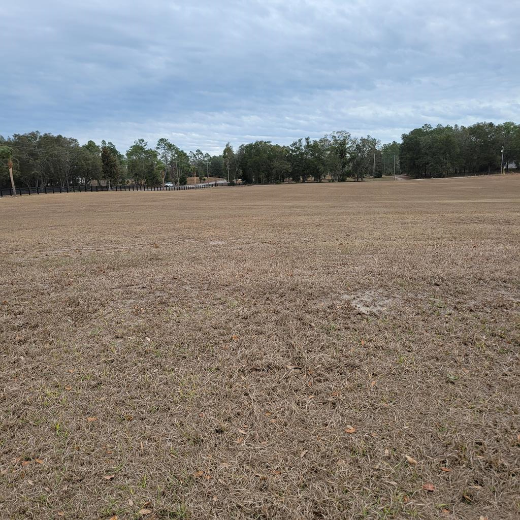 Photo de la propriété:  3954 NW 31st Ave  FL 32619 