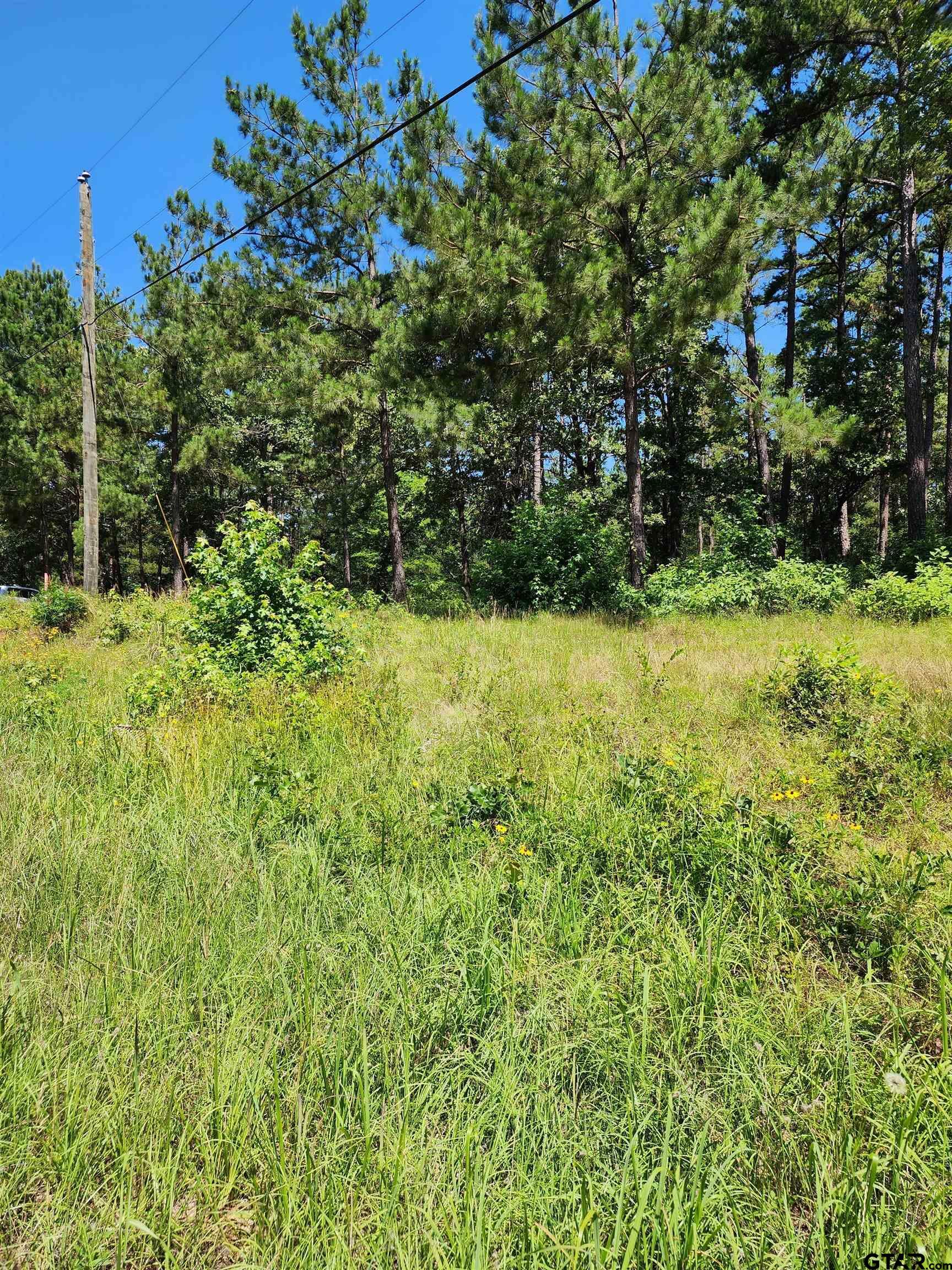 Property Photo:  16373 County Road 436  TX 75771 