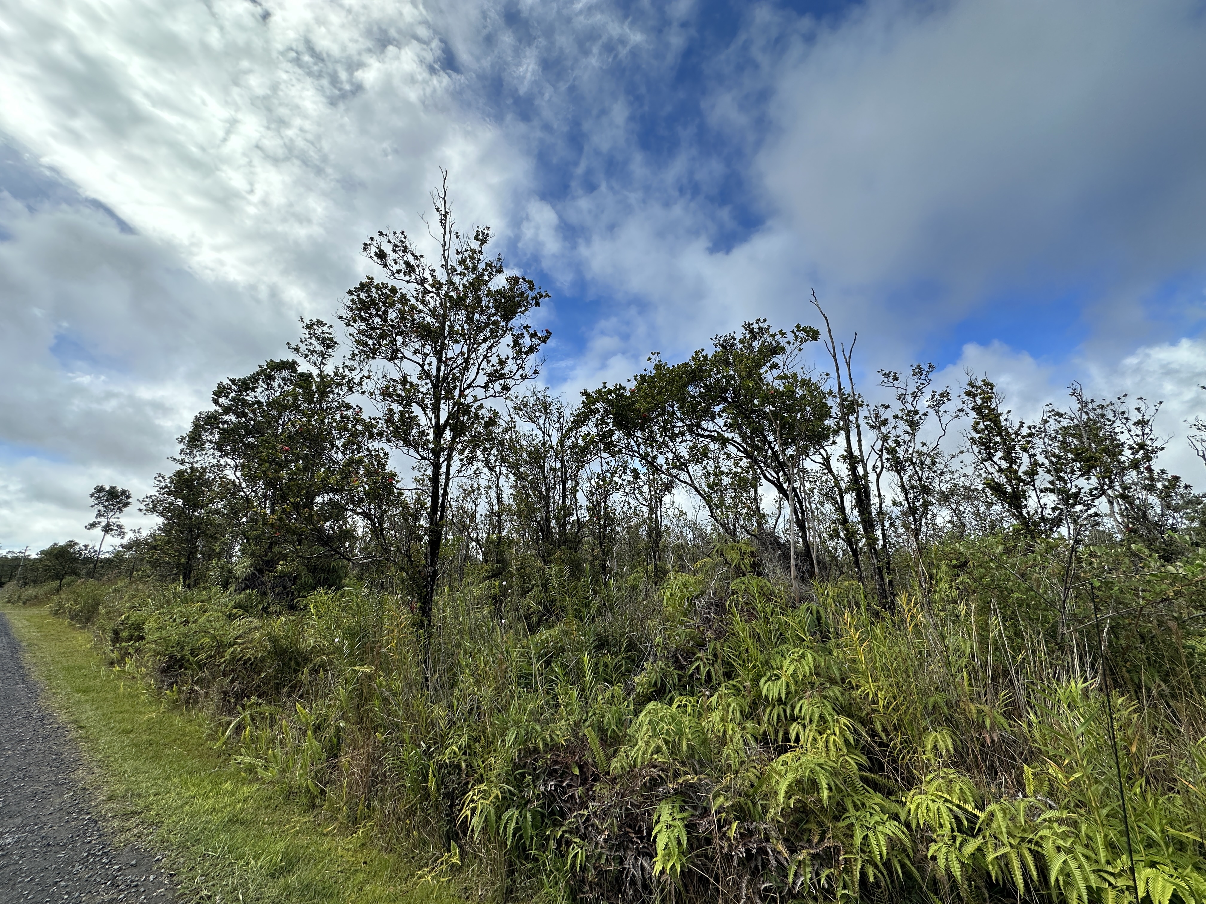 Property Photo:  11-2738 Ohialani Rd  HI 96785 