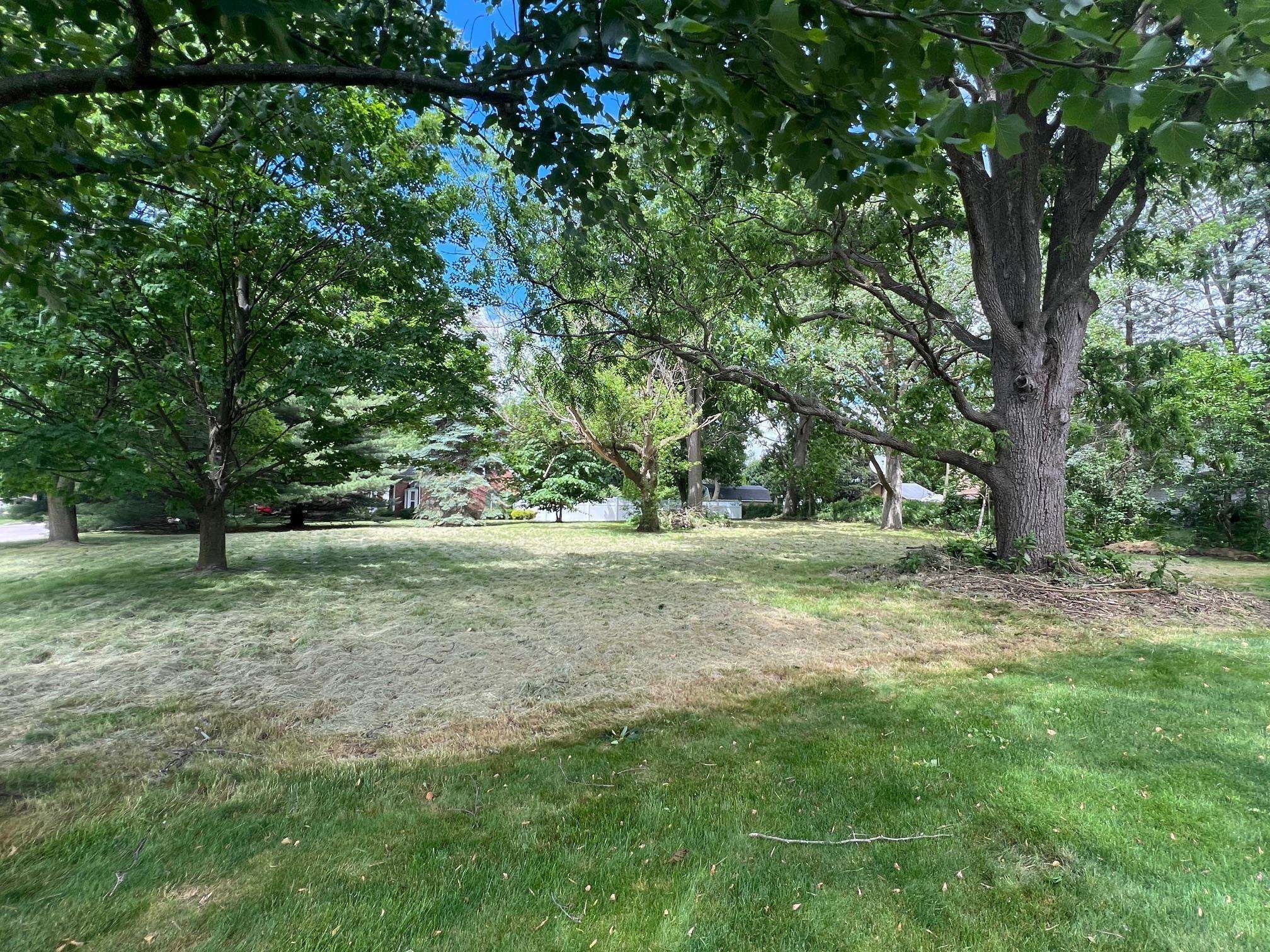 Property Photo:  1252 Ada Street  MI 48867 