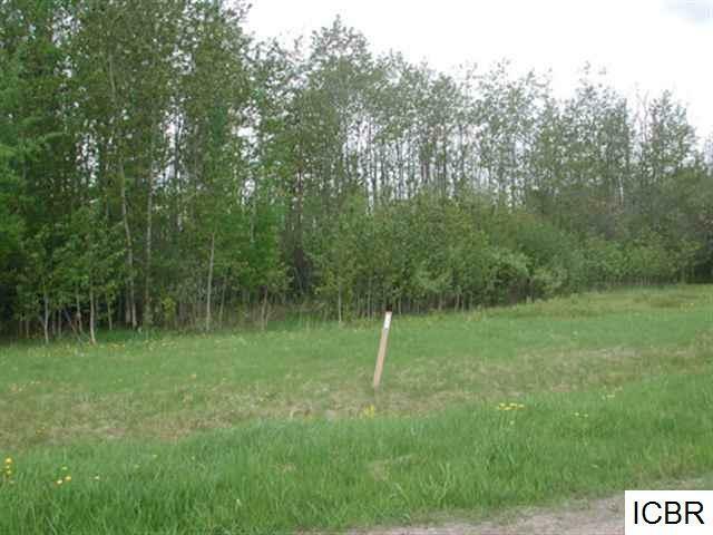 Property Photo: Lt 2 Blk 3 Aspen Dr MN 56636