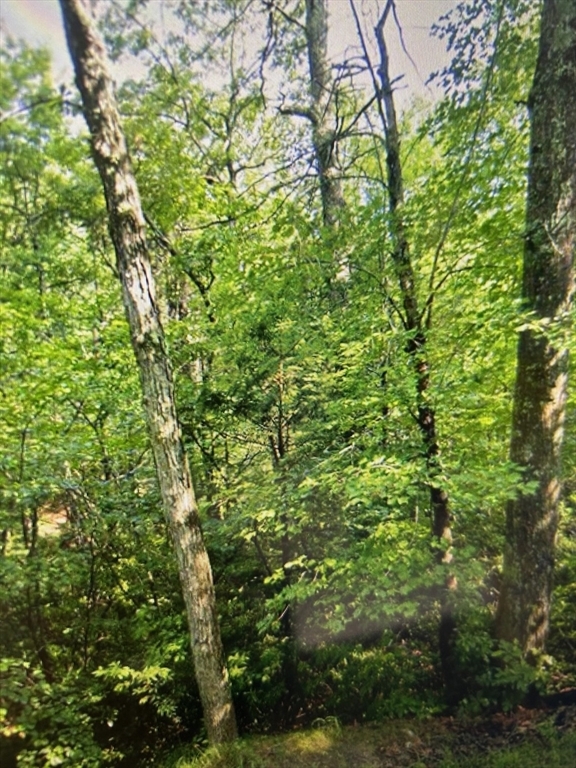 Property Photo:  349 Lot 1 SW Main St  MA 01516 