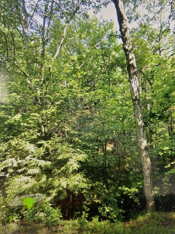 Property Photo:  Lot 2 335 SW Main St  MA 01516 