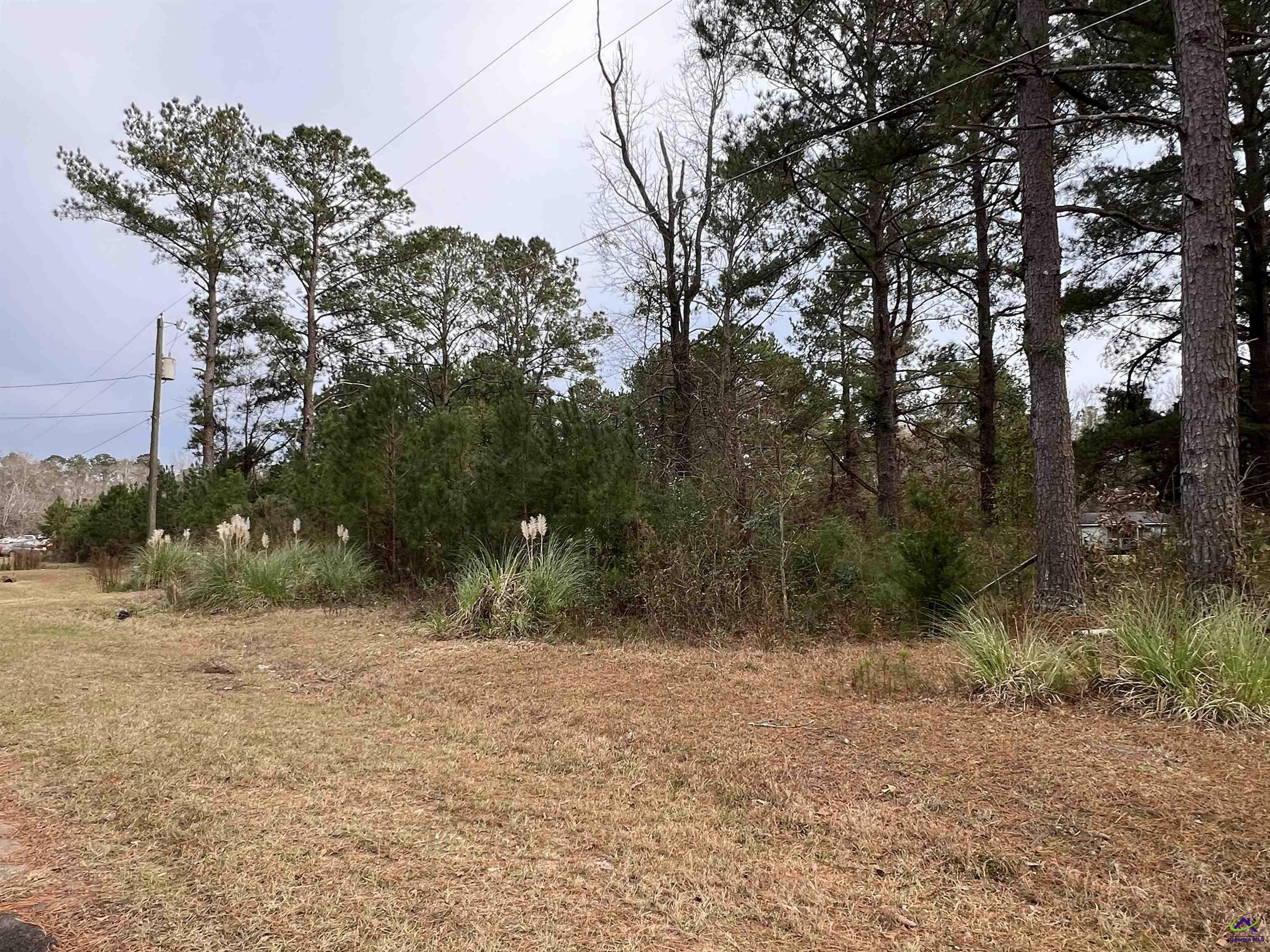 Property Photo:  107 Persimmon Drive  GA 31047 