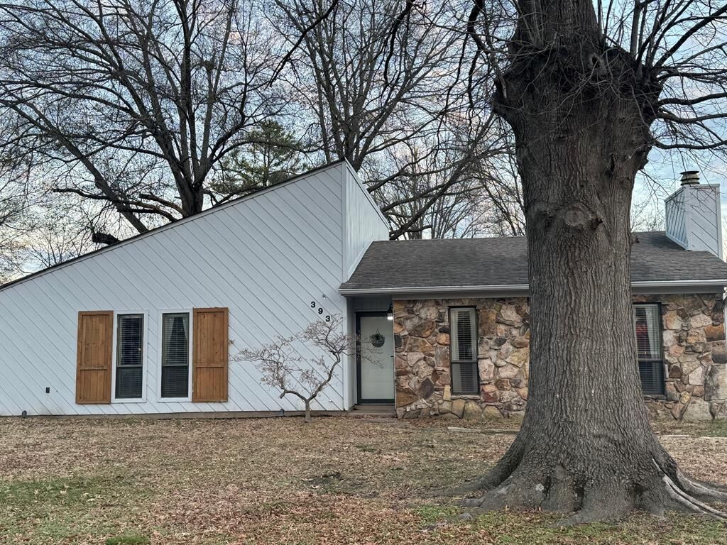 Property Photo:  393 L P Mann Drive  AR 72364 