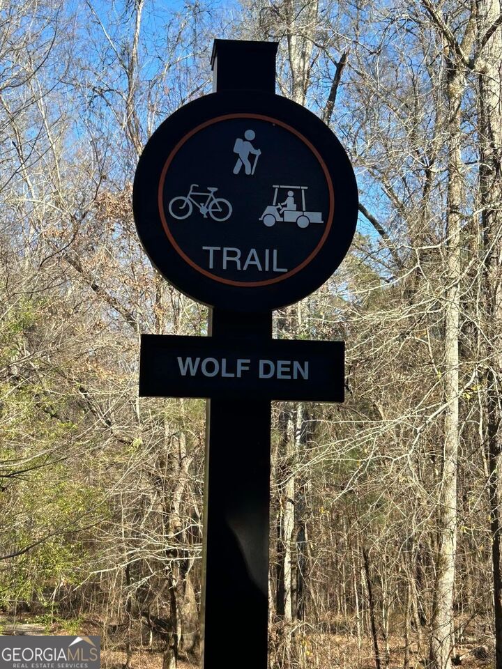 Property Photo:  178 Wolf Creek Cove  GA 30240 
