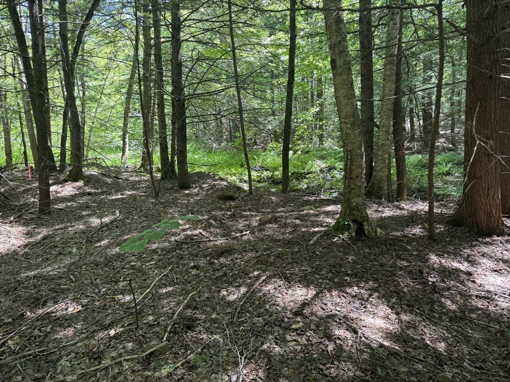 Property Photo: 0 Old Stage Rd MA 01330