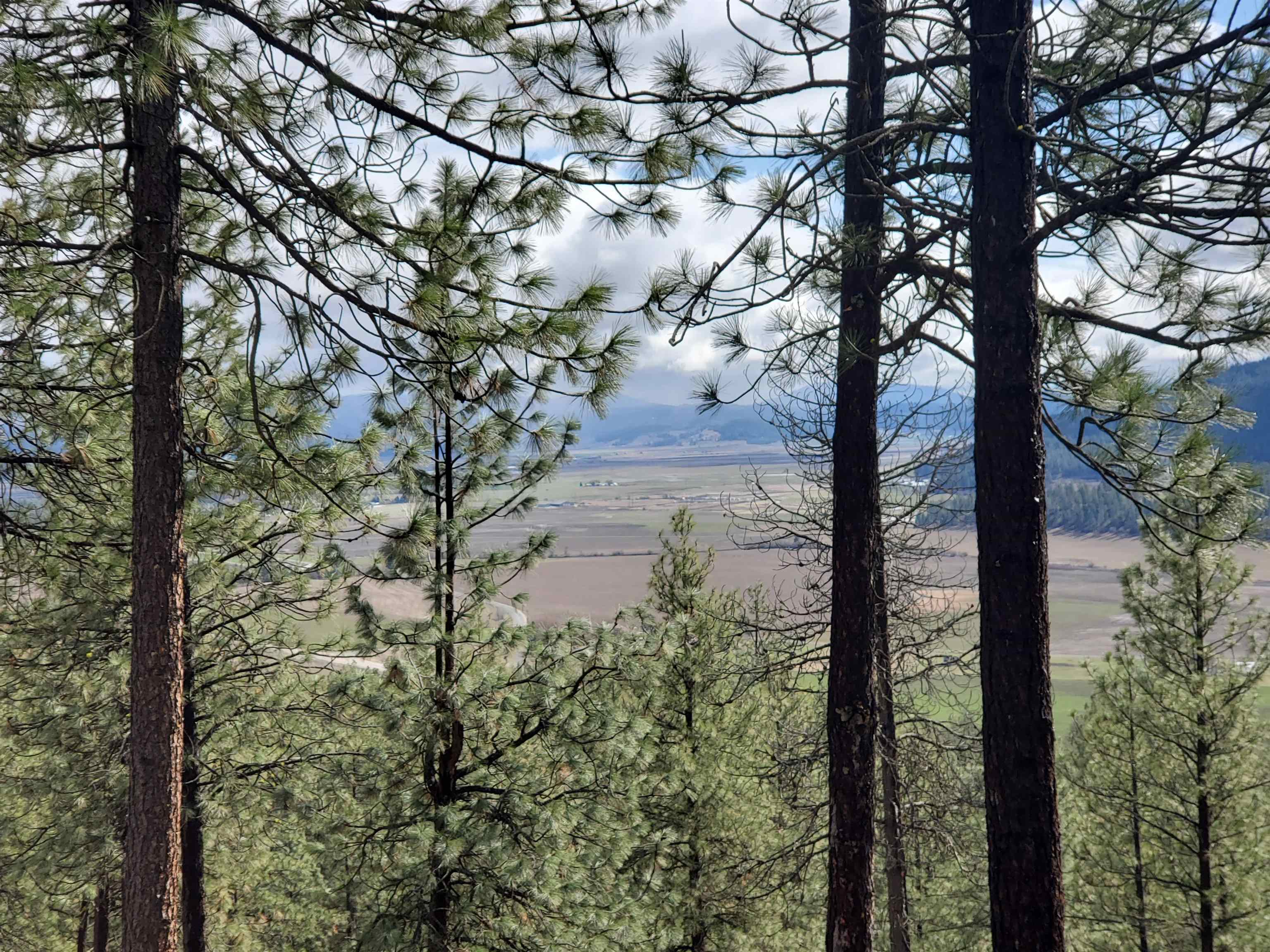 Property Photo: 717 Snead Dr WA 99109