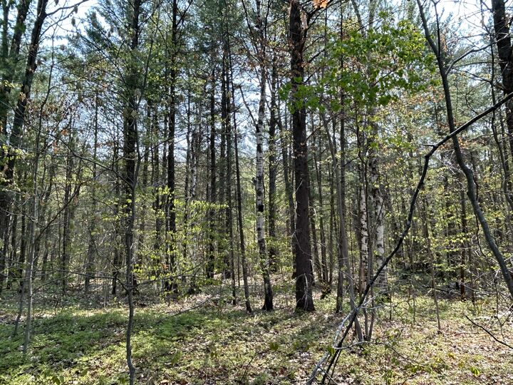 Property Photo: Unit 3 Lakeview Drive MI 49735