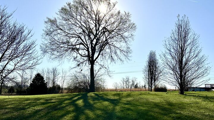 317 Timberline Court  Berea KY 40403 photo