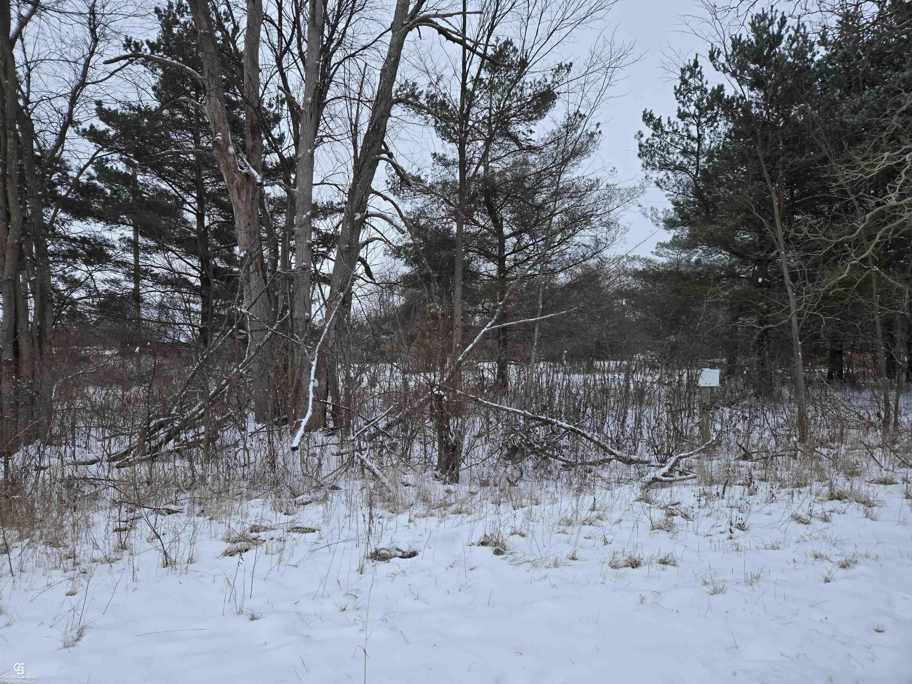 Property Photo:  0 Capac Vl Road  MI 48014 