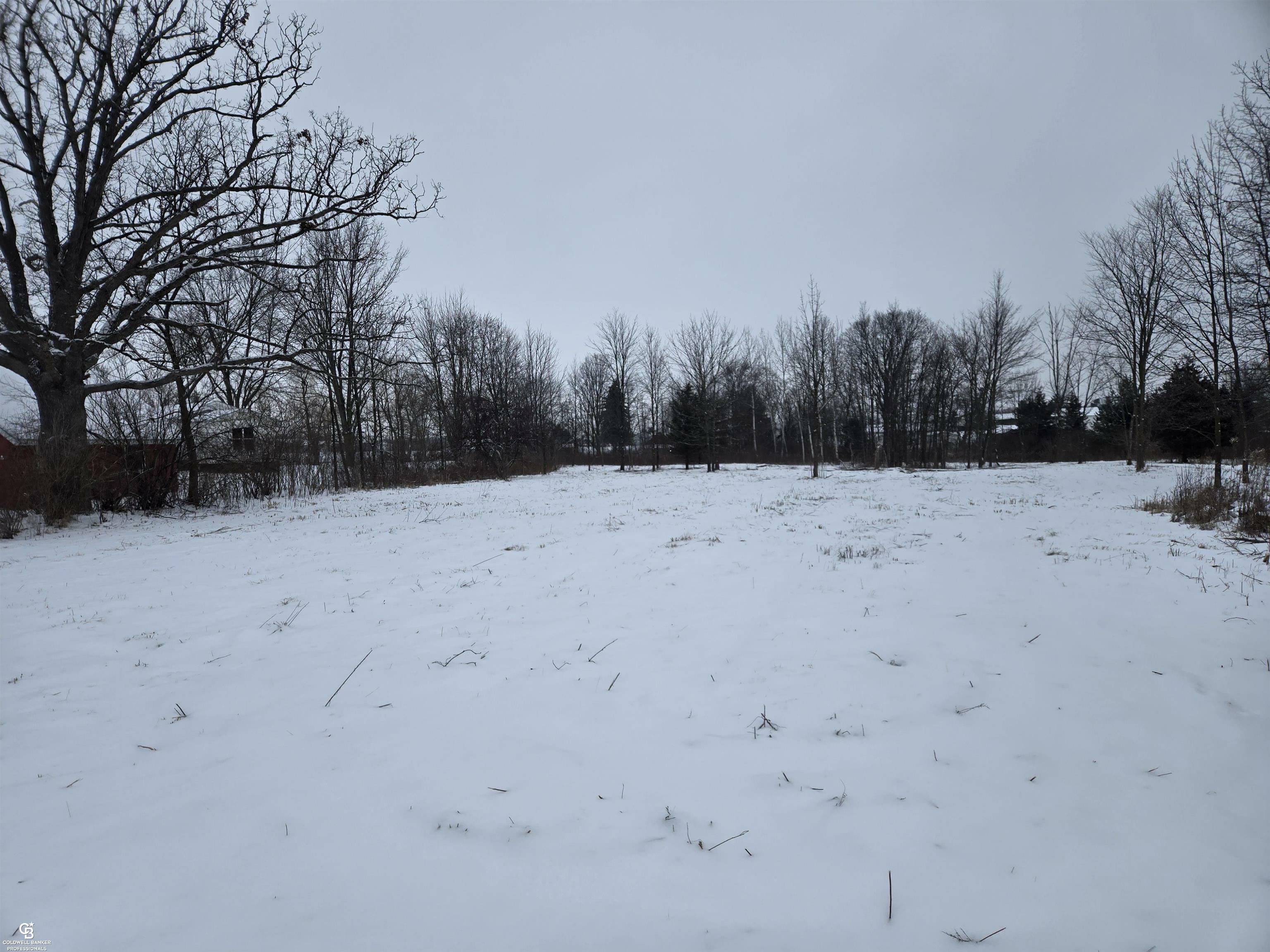 Property Photo:  0 Downey Vl Road  MI 48014 