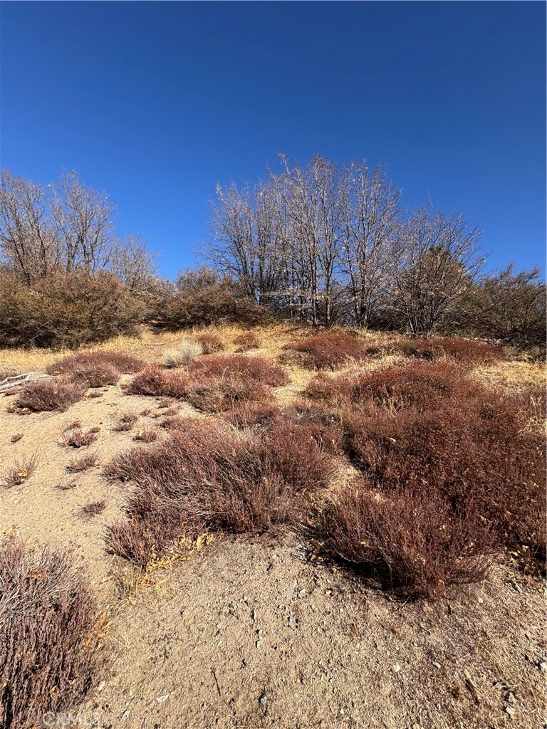 Property Photo: 29685 Hickory Drive CA 92321