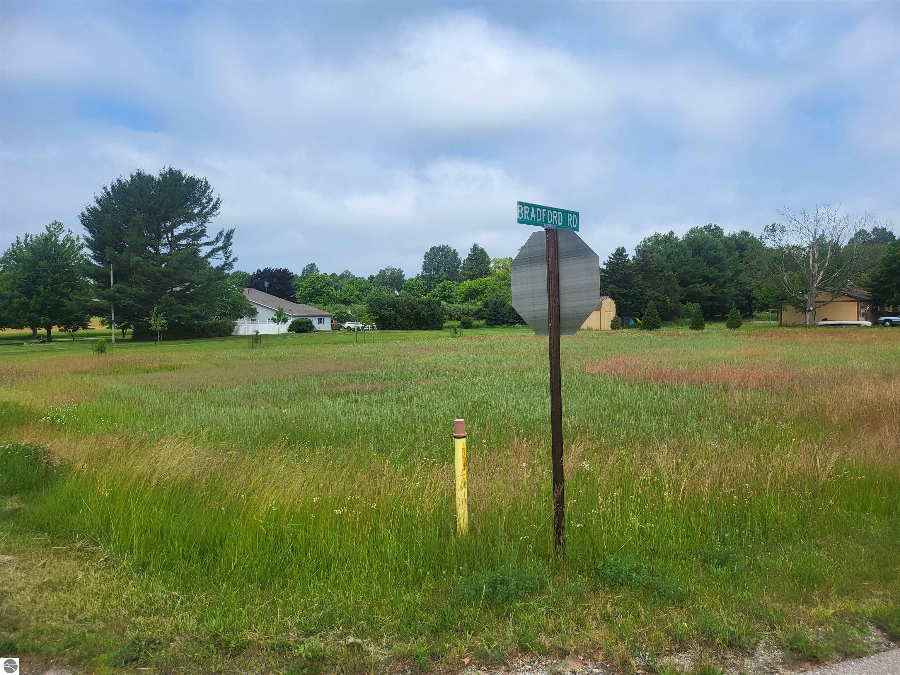Property Photo: 00 Bradford Road MI 49660