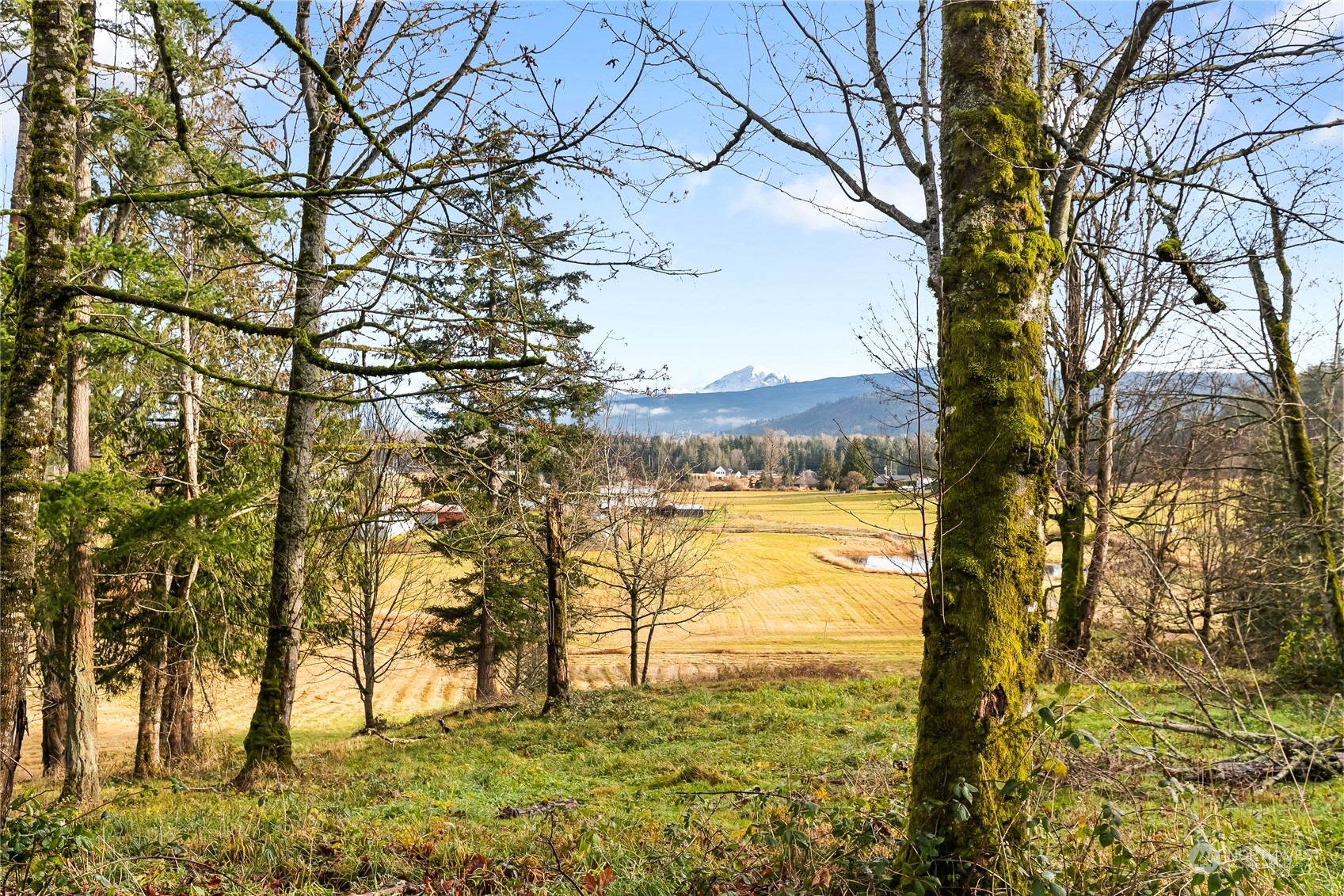 Property Photo:  0  Van Wyck Road  WA 98226 