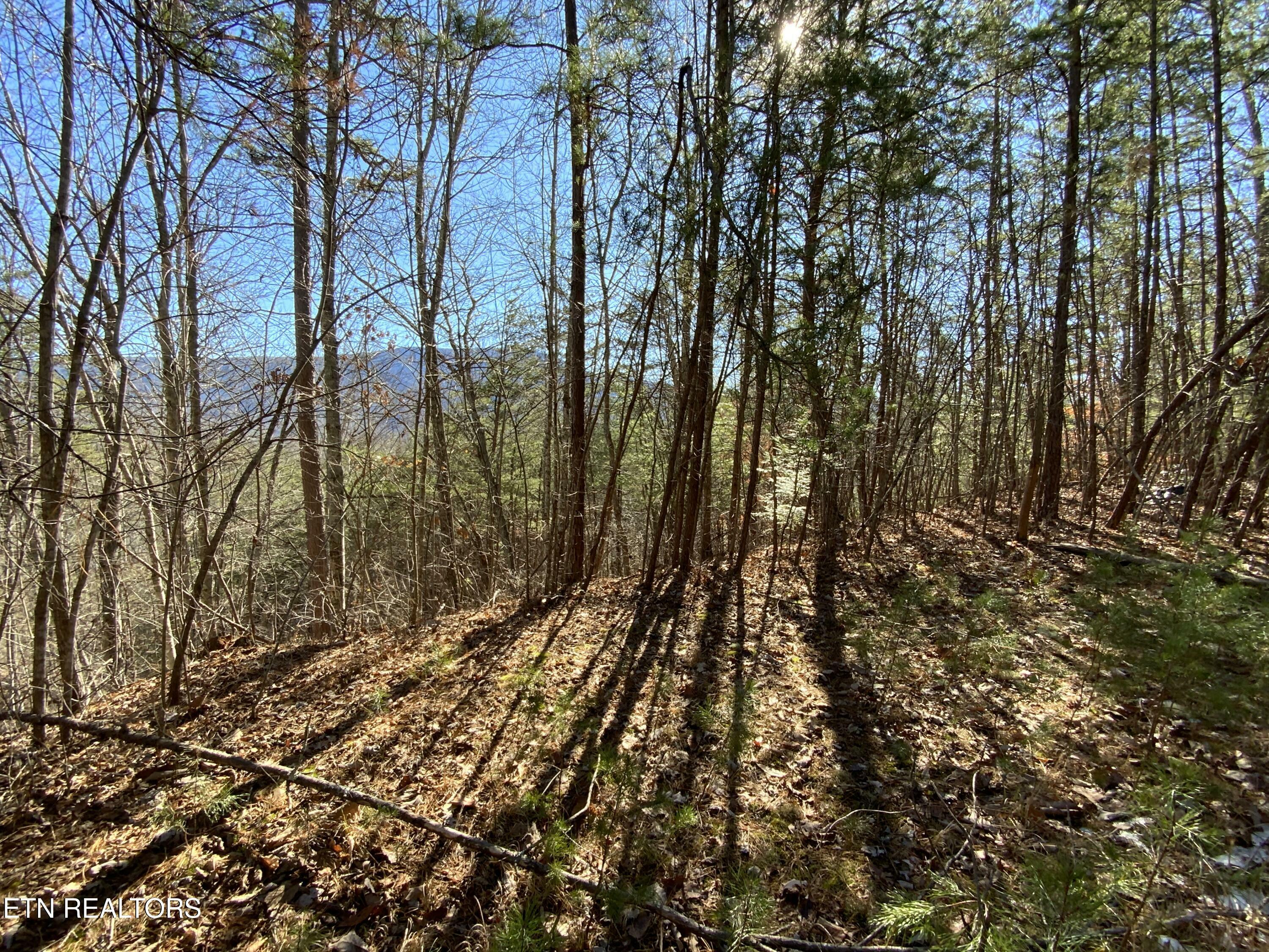 Property Photo:  Lot 7-R Hatcher Mountain Rd  TN 37862 