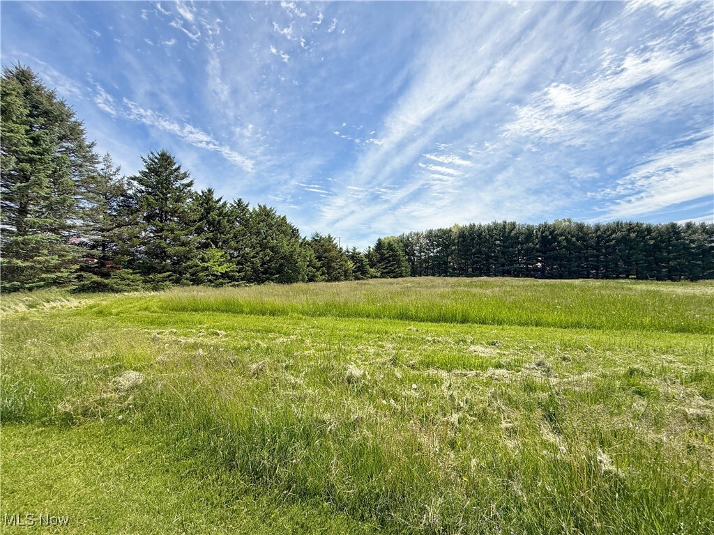 Property Photo: 49631 Foxwood Lane OH 44413