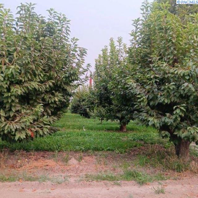 Property Photo: Lester Rd WA 98944