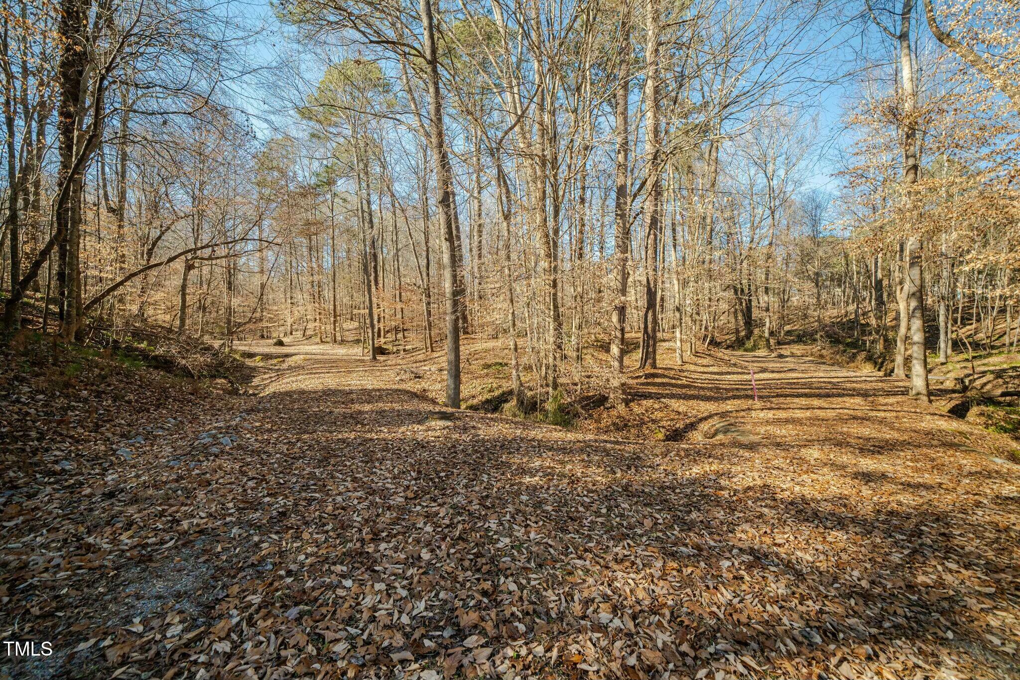 Property Photo:  0 Washington Street  NC 27520 