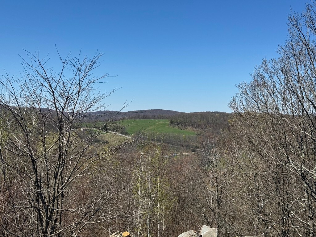 Property Photo: 1229 & 1253 Trim Street NY 13865
