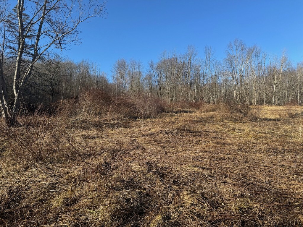 Property Photo:  55 Kent Street  NY 13865 
