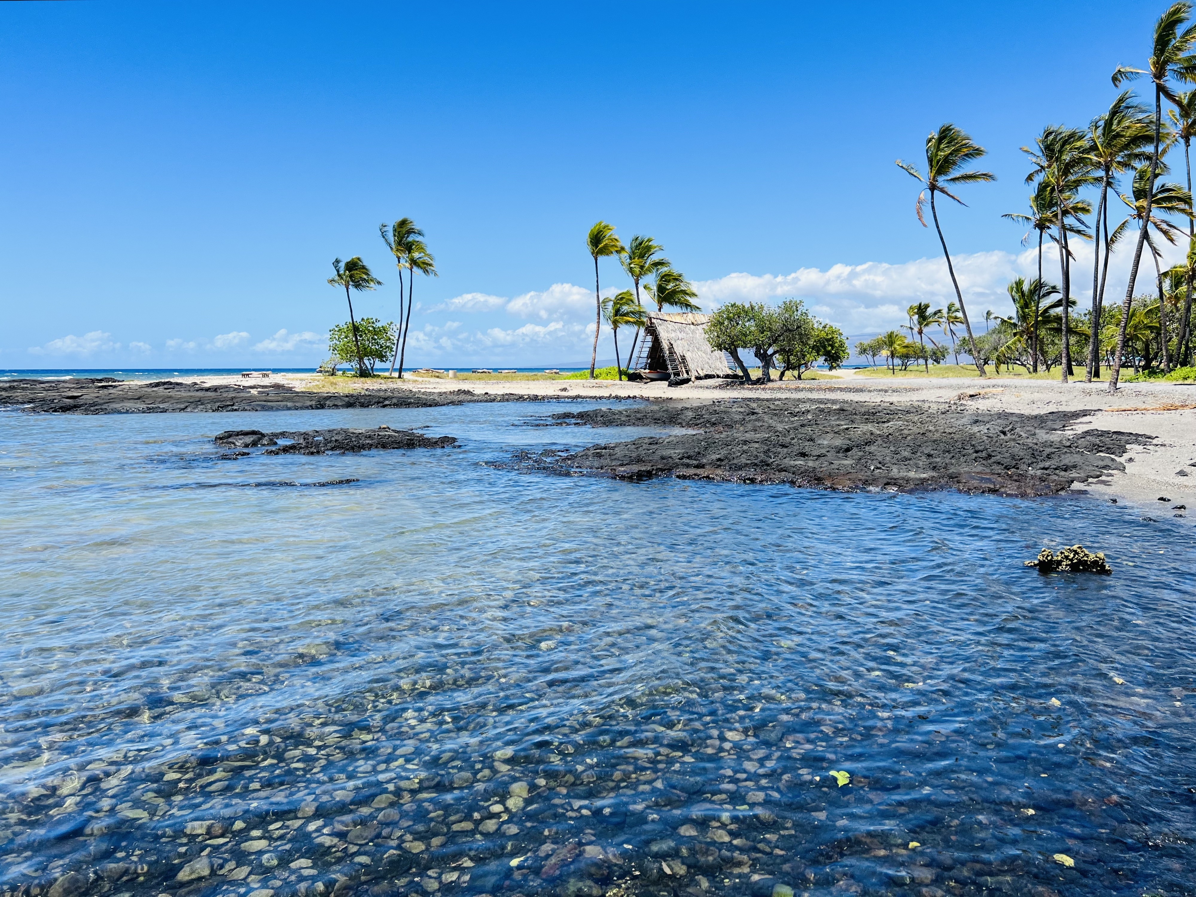 Property Photo:  Champion Ridge At Mauna Lani  HI 96743 