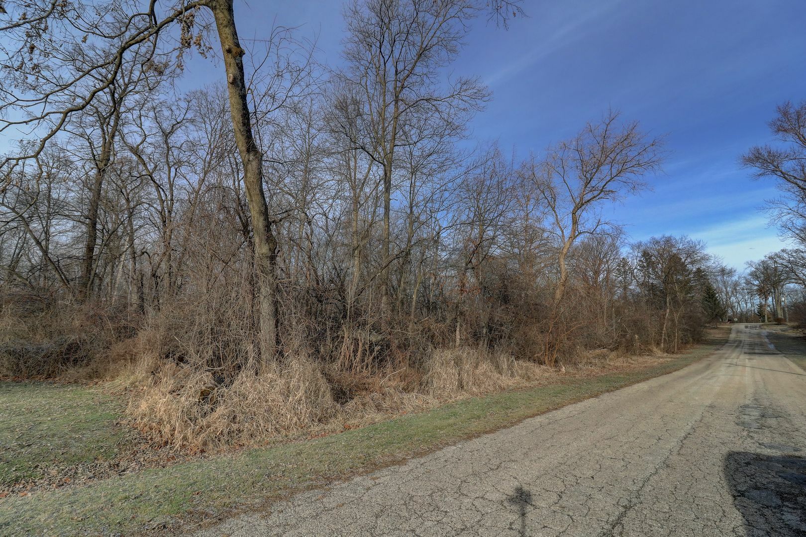 Property Photo:  43380 N Mildred Avenue  IL 60002 