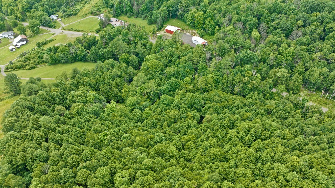 Property Photo: 2170 Bradley Creek Road NY 13790