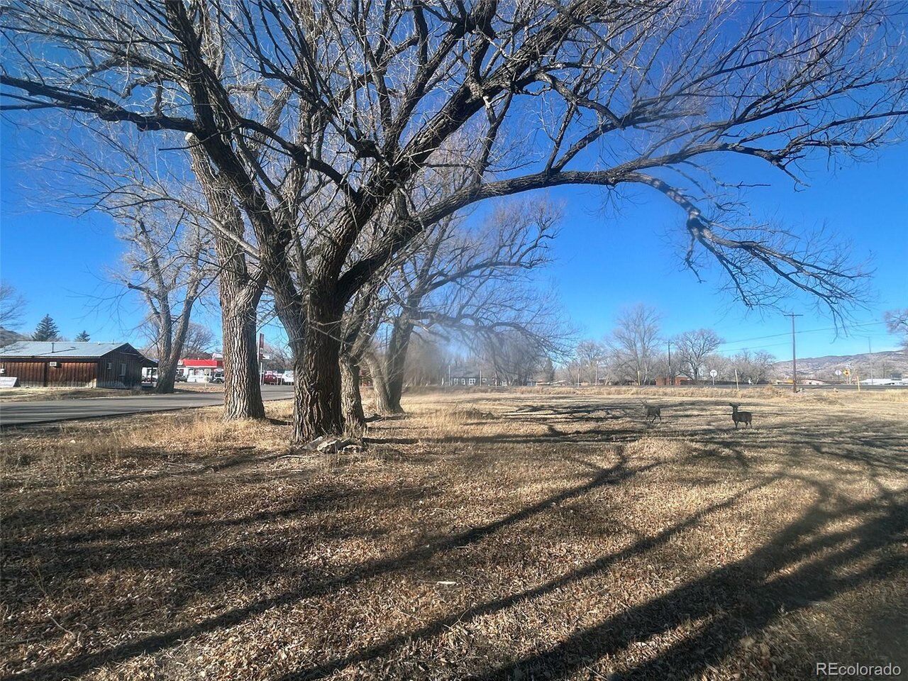 Property Photo:  Highway 285  CO 81149 