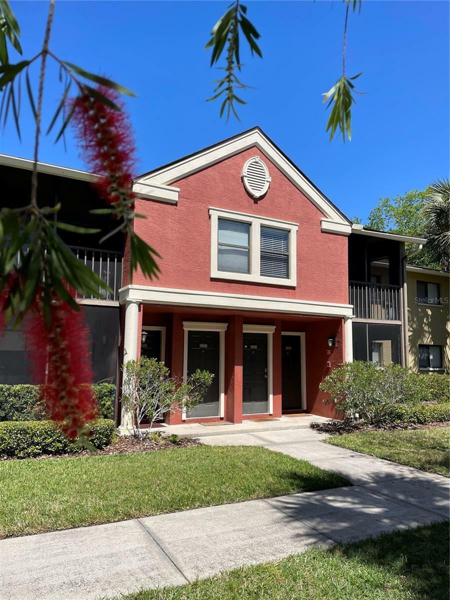 Property Photo:  5557 Baywater Drive  FL 33615 