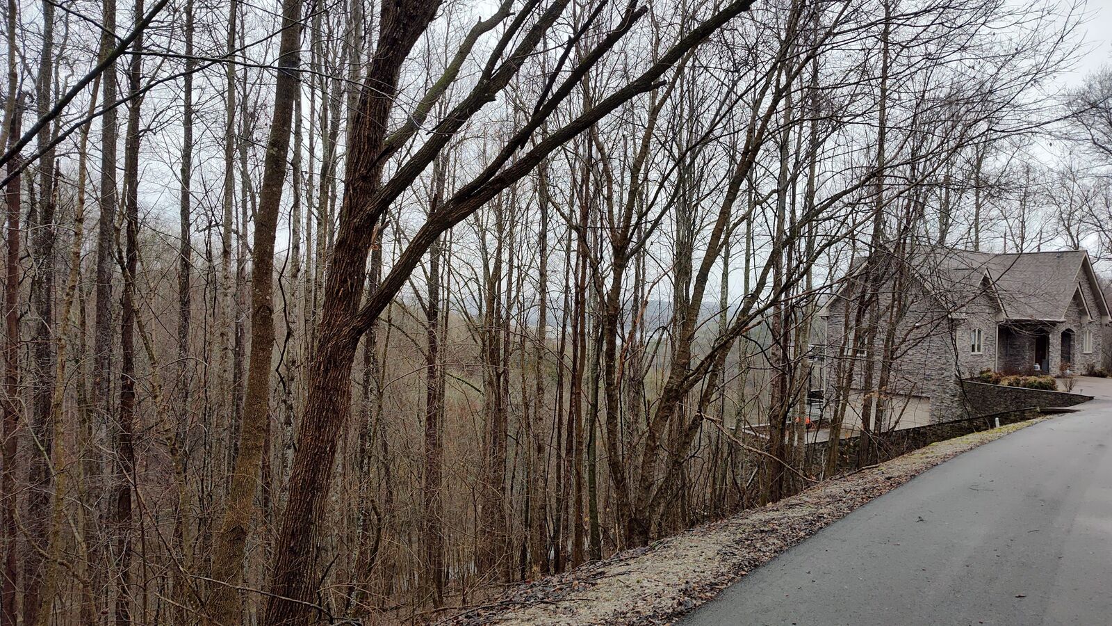 Property Photo:  35 Bay View Dr  TN 38569 