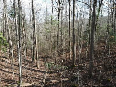 Property Photo:  Lot20 Settlers Cove  GA 30512 