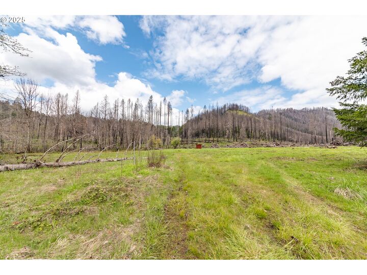 Property Photo: 91747 Blue River Reservoir Rd OR 97413