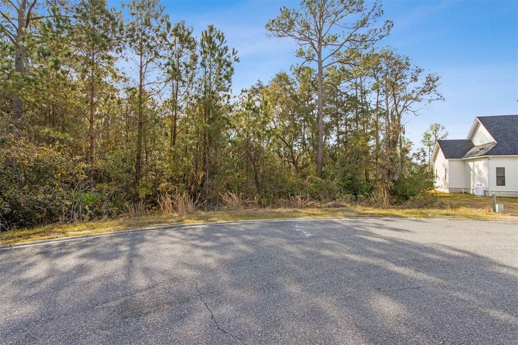 Property Photo:  95375 Brookhill Place  FL 32034 