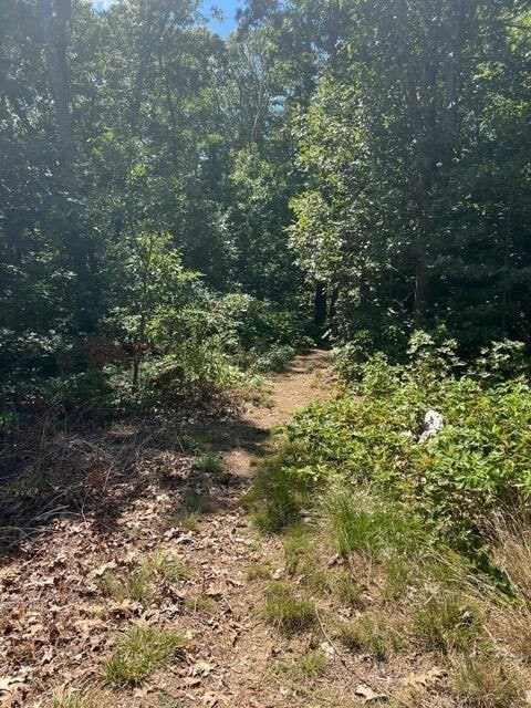 Property Photo:  310 S Orleans Rd 2  MA 02653 