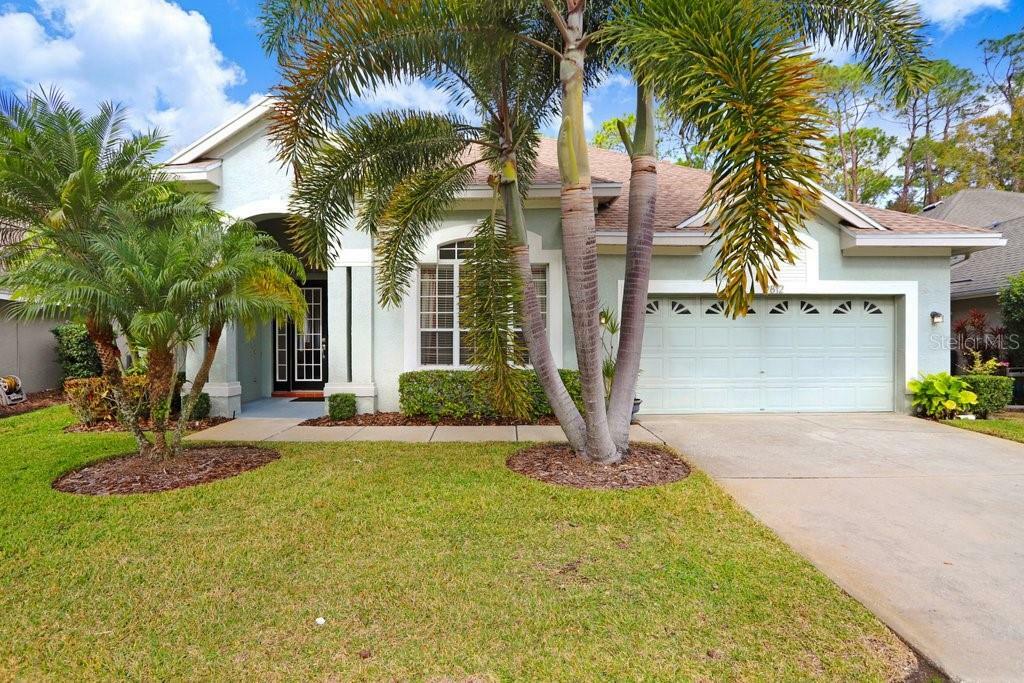 Property Photo:  9812 Gretna Green Drive  FL 33626 