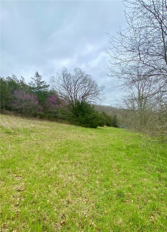 Property Photo:  Lot 2 Old Capps Road  AR 72601 