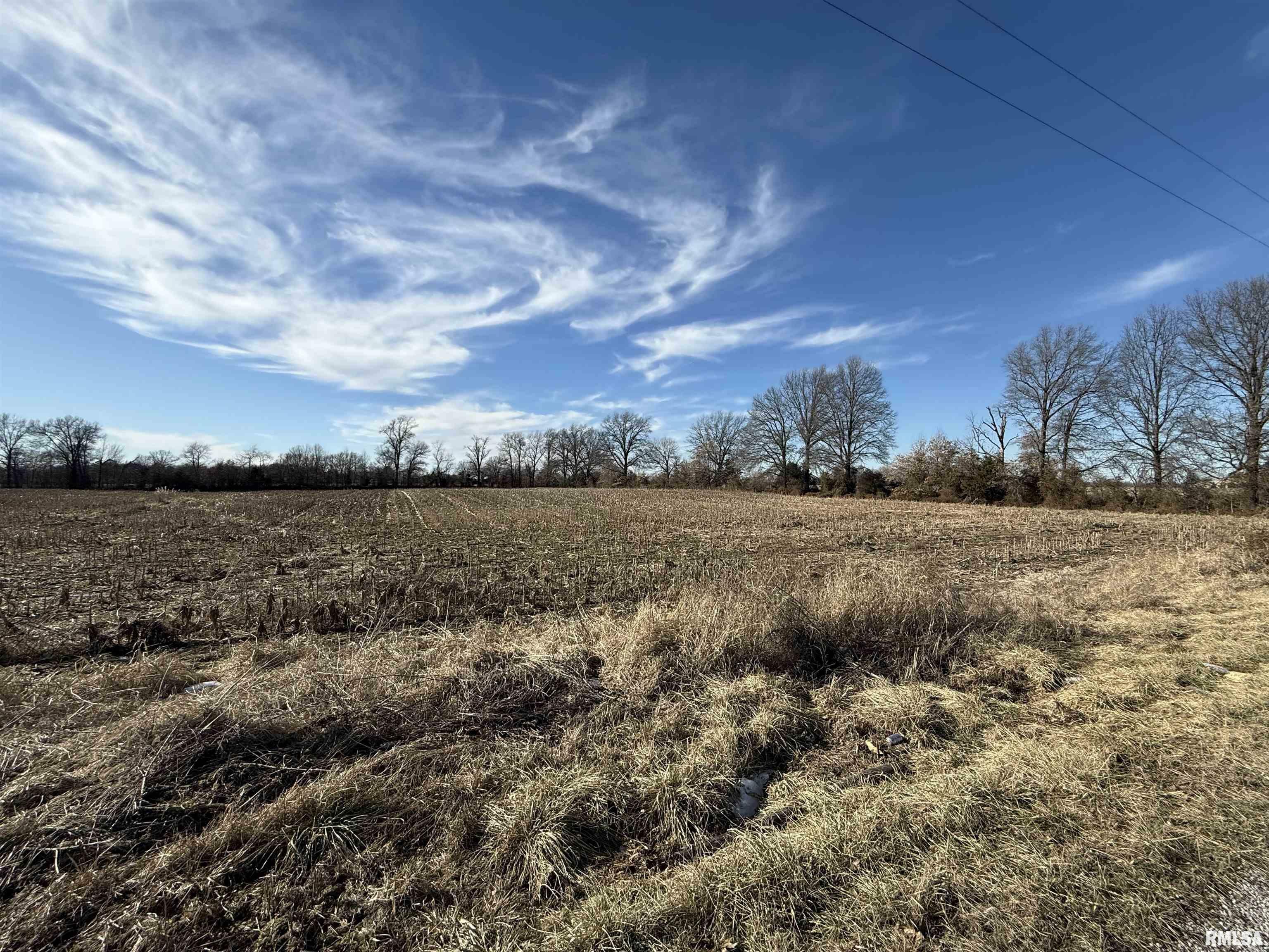 Property Photo:  000 W Center Road  IL 62865 