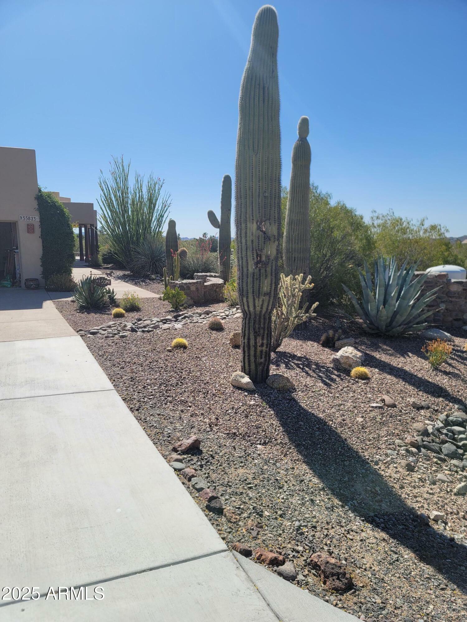 Property Photo:  55823 N 329th Drive  AZ 85390 